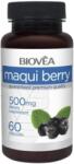 Biovea Maqui Berry, 500 mg, 60 capsule, Biovea