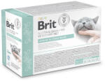 Brit veterinary BRIT GF VET. MACSKA TÁSKA VIZELET- ÉS STRESSZCSÖKKENTŐ 12x85g