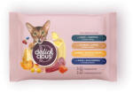 Delickcious Dinner and dessert Set for Cats MP vegyesmix nedves macskaeledel 330g