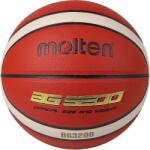 Molten BG 3200 Maro, Negru, bej, Auriu 5 (BG3200-2)