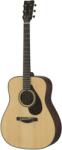 Yamaha FG9 60th Anniversary