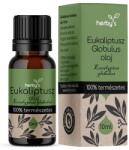 Sauna Cool Eukaliptusz illóolaj Herbys 10ml