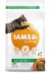 Iams macskaeledel felnőtt bárányhússal 3 kg