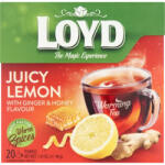 LOYD Hot tea Gyömbér-Citrom-Méz 20*2g