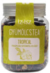 ÍZ-ISZ Gyümölcstea Trópusi 120g