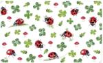 Ihr LUCKY LADYBUGS reggelizőtábla 23, 5x14, 5cm (MCB1037200)
