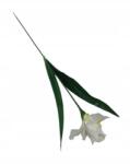 Wera Írisz művirág ág 65 cm fehér (LZ014#4)