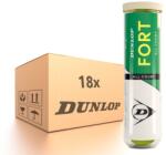 Dunlop Bax mingi tenis Dunlop Fort All Court 18 x 4B (601607-18x4B)