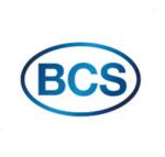 BCS PowerLube W11 80W-90 20 l (71120016)