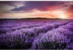 MÉDIA Öntapadó és mosható fali tapéta Lavender4, 250 x 200 cm (FOTOTAP9460)