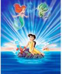 MÉDIA Öntapadó és mosható falfestmény The Little Mermaid II, 250 x 200 cm (FOTOTAP9472)