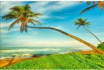 MÉDIA Öntapadó és mosható falfestmény Pálmafák a tengerparton, 350 x 250 cm (FOTOTAP6063)