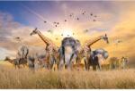Media Öntapadó és mosható fali tapéta Állatok az afrikai szavannáról, 400 x 250 cm, (FOTOTAP8441)