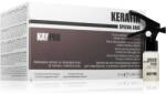 Kaypro Keratin Filler fluid pentru par deteriorat pentru uz profesonial 12x10 ml