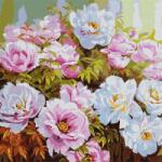 Ideyka Festés számok szerint Pünkösdi rózsák - 50 x 50 cm (KHO3193)