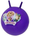 Mancs Őrjárat Medence létra