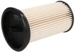  Revizie, Filtru Combustibil (pur-pf3006)