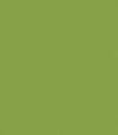  Lime zöld Maki szalvéta 20 db-os 25x25 cm (PKK010499)