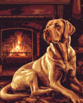 Alkotásutca Retriver a kandalló mellett - Számfestő készlet kereten 40x50