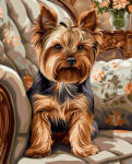 Alkotásutca Ülő yorkie - Számfestő készlet kereten 40x50