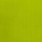  Rendezvényszőnyeg Vásári Lime Flat 1M (REWIND.LIME.2RW-F.0675)