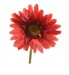 Kaemingk Piros gerbera művirág vázába, dekorációs virág 50 cm (8711277139943)