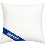 Strefa Spania Visco termoplasztikus párna |egészséges Alvás| Jancsi 40x40 Lengyel Gyártás (VSC40X40 lux)