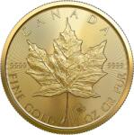 Royal Canadian Mint | Maple Leaf 1 uncia | aranyérme (1091002)
