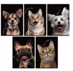 Herlitz Iskolai Füzet A5 60 Lapos Kockás Állatok Puha Borítós (4905212674970)