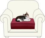  Kanapé huzat (kanapé) piros (B0B4ZZMVSJ)