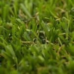 DEKORDOM Alva Prémium Műfű 1, 7CM 2M Alva