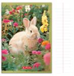 Herlitz Füzet A5 32 Lapos Vonalas Her Animals Iskolai Állatok Tanulás (4905212677216)