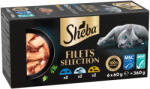 Sheba 36x60g Sheba finom filék étrend-kiegészítő eledel macskáknak 3 ízzel