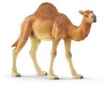 Schleich Dromedarul Schleich (OLP102614832) Figurina