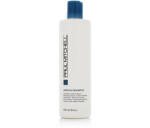 Paul Mitchell Awapuhi Shampoo 500 ml - vince