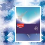 Maped Füzet A/5 vonalas MAPED 80 lap Arctic jégvilág minta, tűzött jegyzetfüzet, vastagabb lapokkal