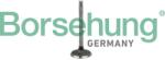 Borsehung Sací ventil Borsehung B18998 (B18998)
