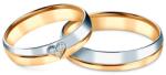 SAVICKI Verighete: aur bicolor, emisferice, 4, 5 mm - savicki - 11 997,00 RON