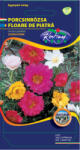 Rédei Kertimag Zrt Porcsinrózsa (Portulaca grandiflora) féltelt virágú színkeverék (0, 5 g)