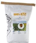 Kwizda Agro Belem 0, 8 MG (12kg)