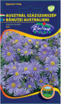 Rédei Kertimag Zrt Ausztrál százszorszép (Brachycome iberidifolia) kék (0, 25 g)