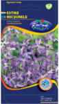 Rédei Kertimag Zrt Estike (Matthiola bicornis) lilásrózsaszín (0, 5 g)