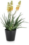Bizzotto Aloe artificiala in ghiveci 12, 5x14x51h (0170769)