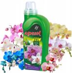 Agrecol Mineraly Żel táp orchideákhoz, a növekedésért és virágzásért Orchidea 0, 5L (5902341005605)
