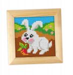 Orchidea Hímzés Kerettel. Az Első Hímzésem Nyuszi (6720)