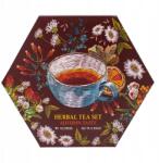 Acorus Őszi tea szett - 6 íz, 60 filter, tökéletes ajándék (60360105)