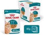 Royal Canin Ageing 11+ 12x85g - idős macska szószos nedves táp