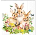 Ambiente Bunny family papírszalvéta 25x25cm, 20db-os