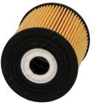 ASHIKA Olejový filter ASHIKA 10-00-007 (10-00-007)