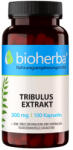 Bioherba TRIBULUS EXTRACT - Bolgár Tribulus Kivonat - Fokozott Luteinizáló Hormon Szint, Libidó & Szexuális Teljesítmény - 100 Kapszula - Bioherba